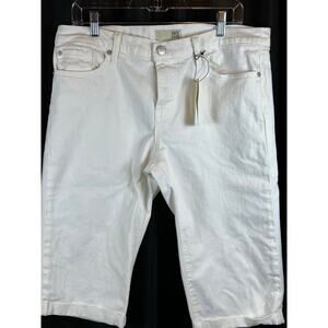 David Kahn NWT Long shorts  30